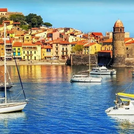 Apartment Elegance Castillet - Plein Centre Proche Gare Bus Et Transports - Ideal Couple Ou Pro - Moderne Et Confort - Speciale *